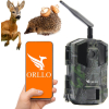 Kamera leśna Orllo Huntercam 3 GSM Fotopułapka